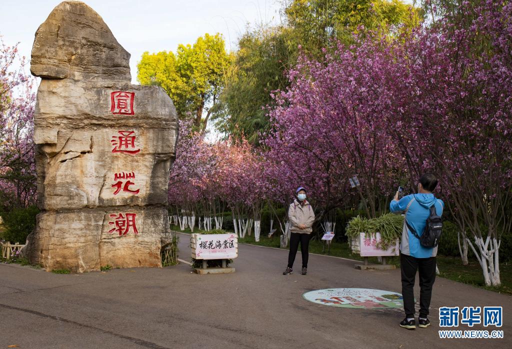 云南省文化和旅游厅