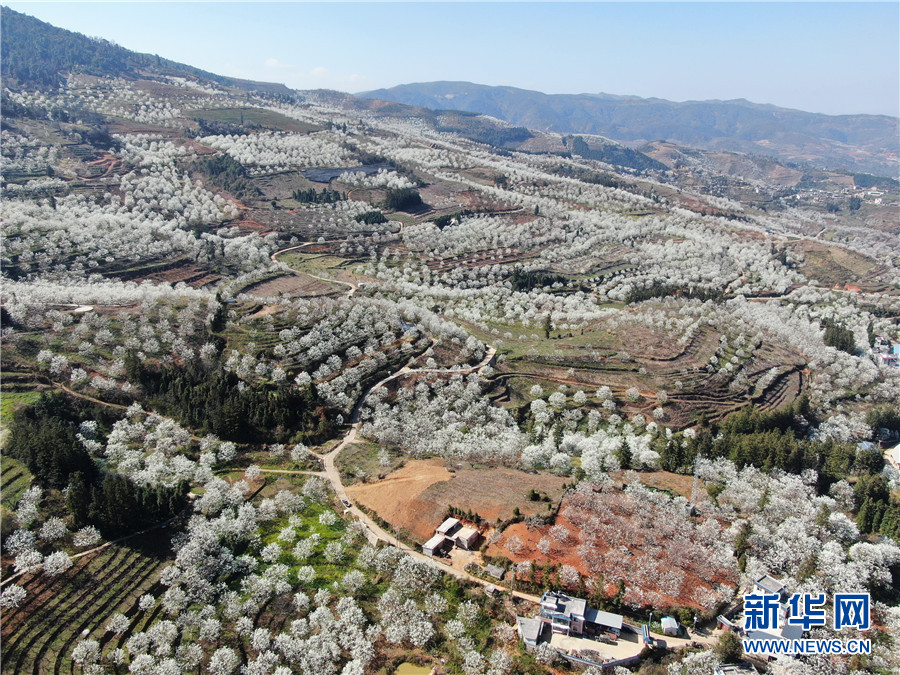 云南省文化和旅游厅