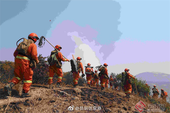 大理凤仪森林火灾明火已全部扑灭
