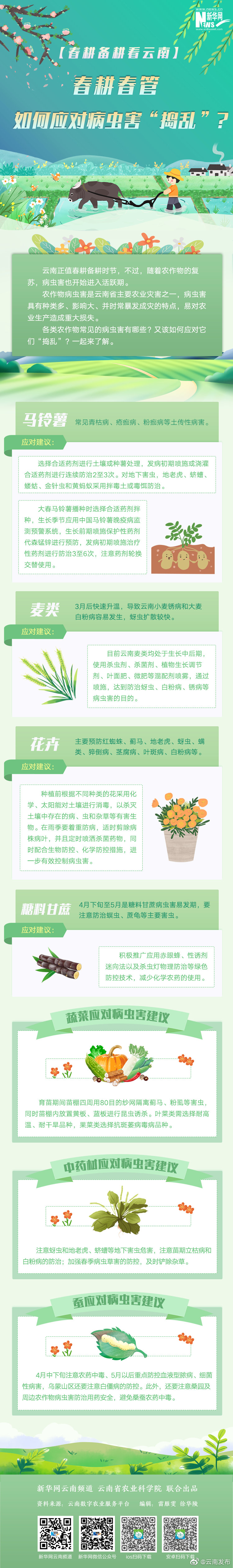一图速览！春耕春管如何应对病虫害“捣乱”？