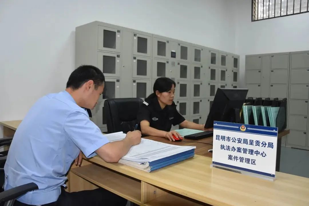 云南政法
