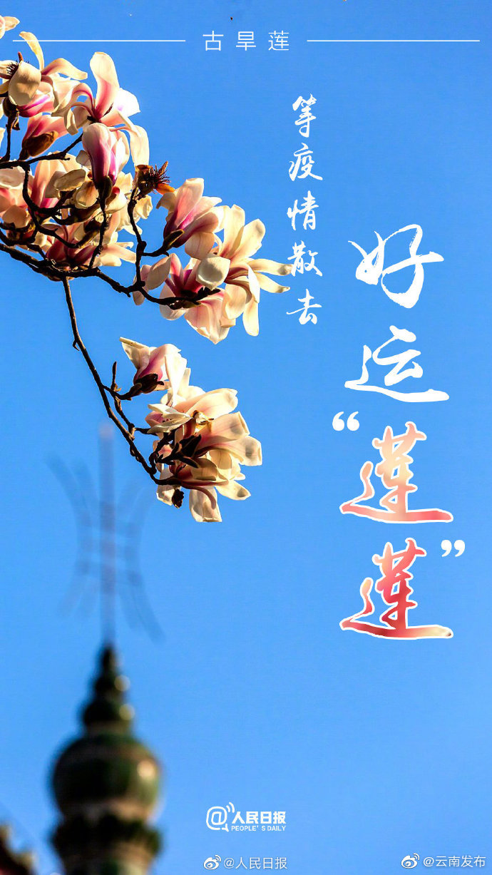 “云南发布”微博