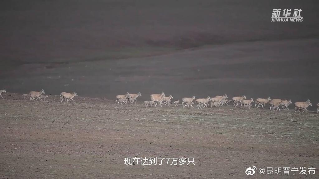 昆明晋宁发布