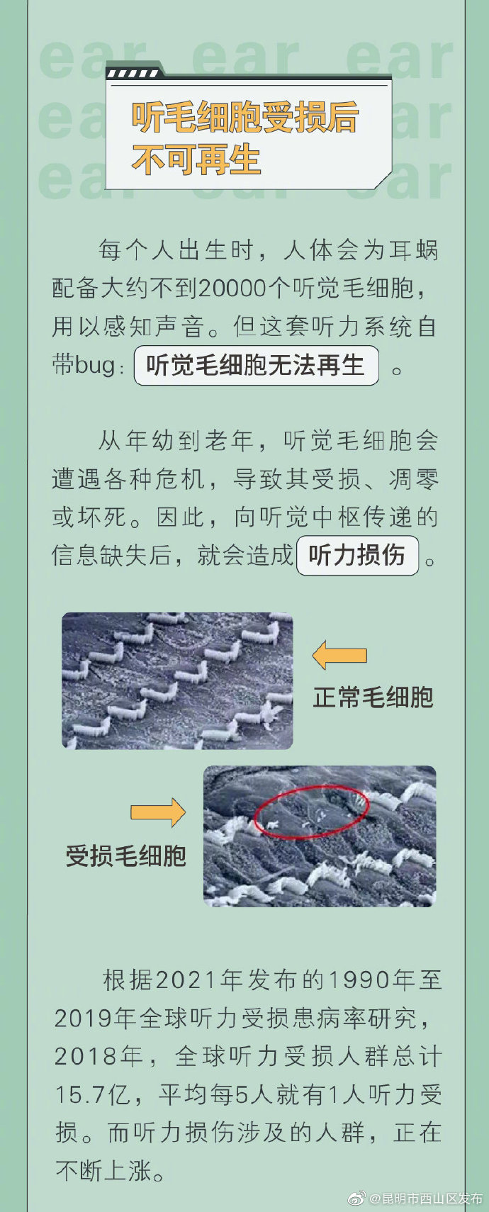 “昆明市西山区发布”微博