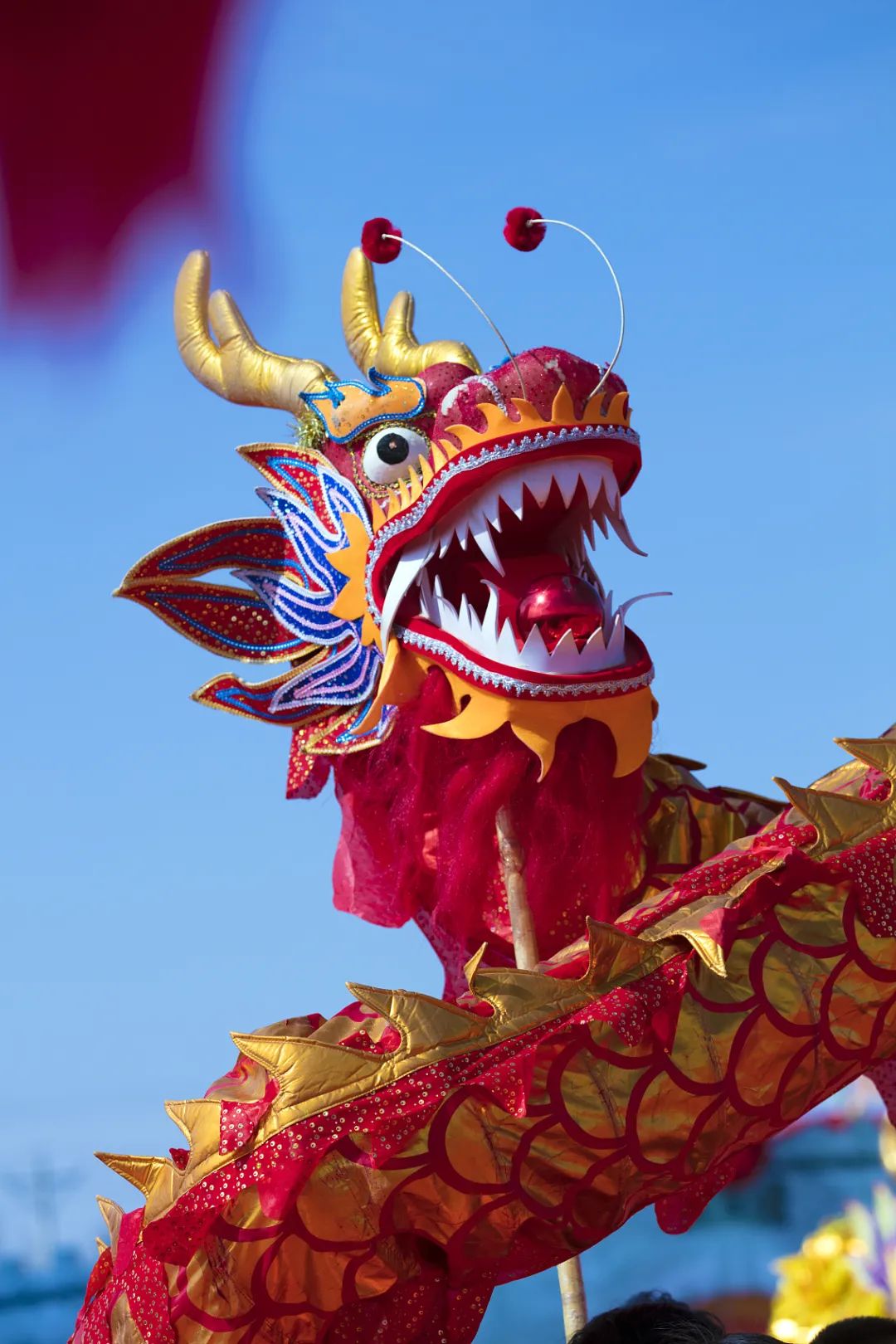 美丽云南微科普