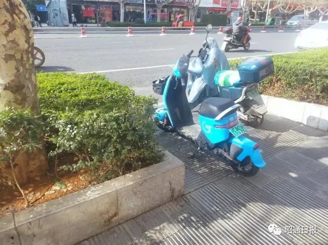 昭通日报