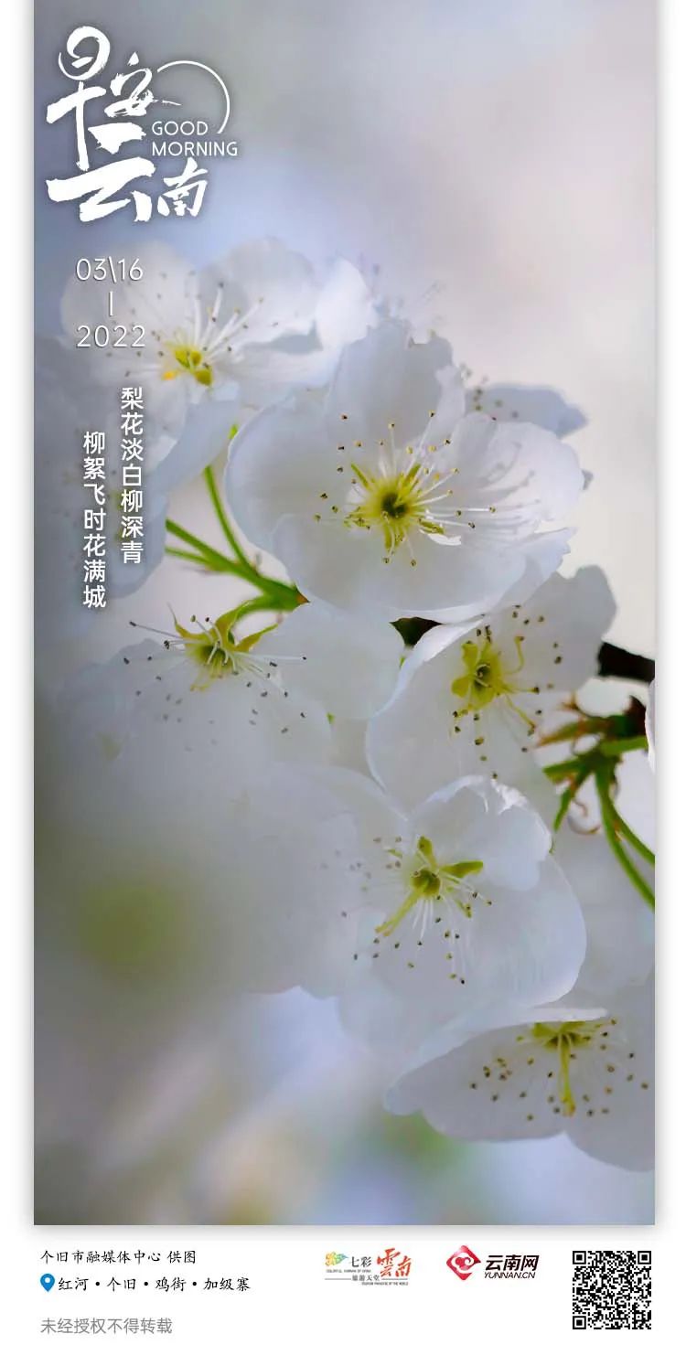 云南省人民政府网
