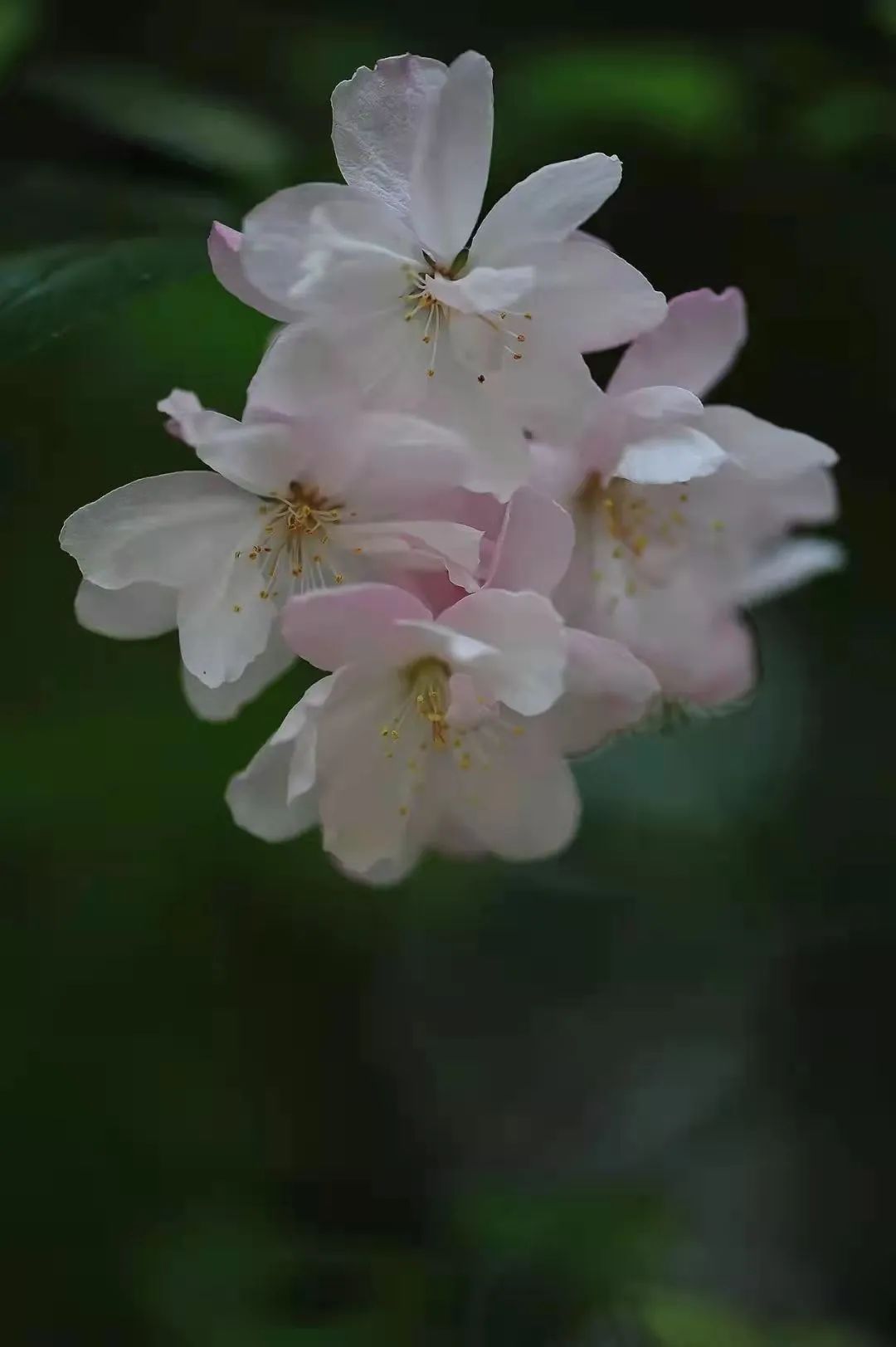 昆明市金殿名胜区