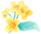 东川发布(微信)