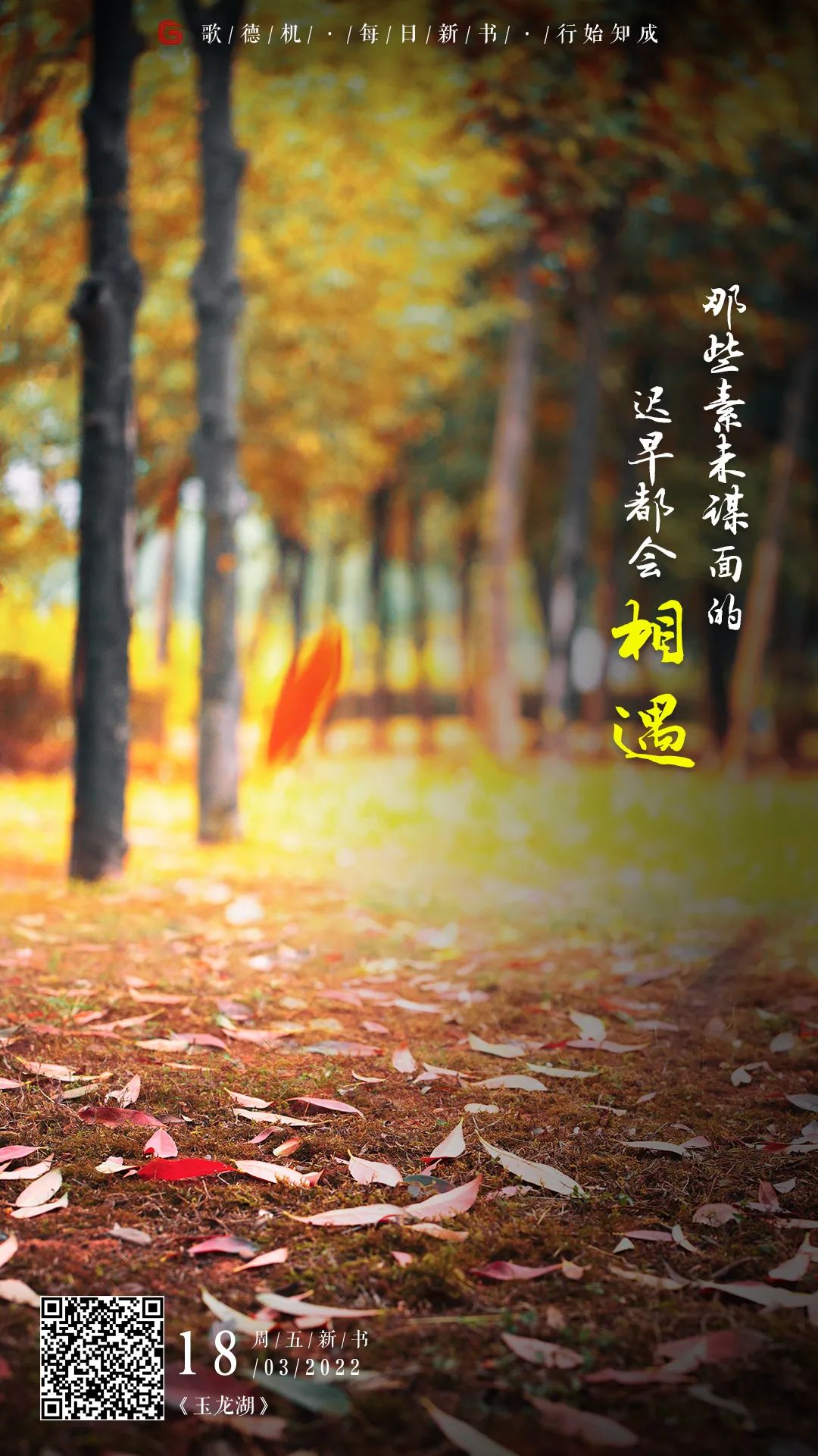 昆明市西山区图书馆
