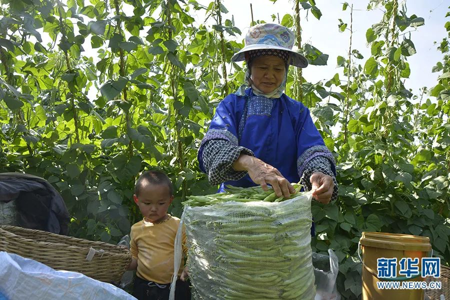 玉溪发布