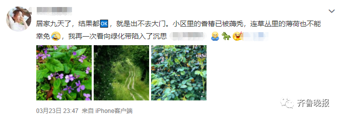 美丽云南微科普