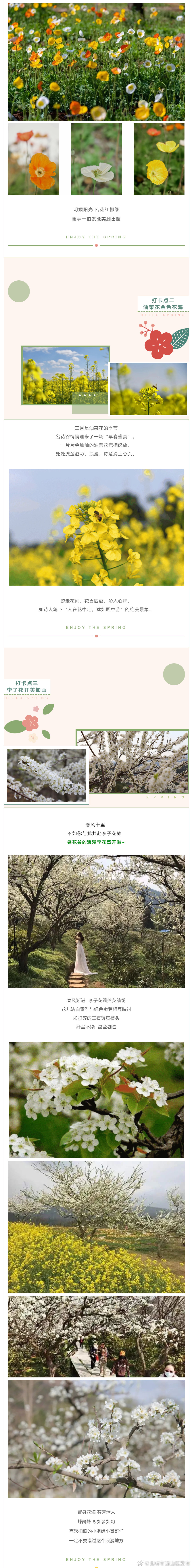 “昆明市西山区发布”微博