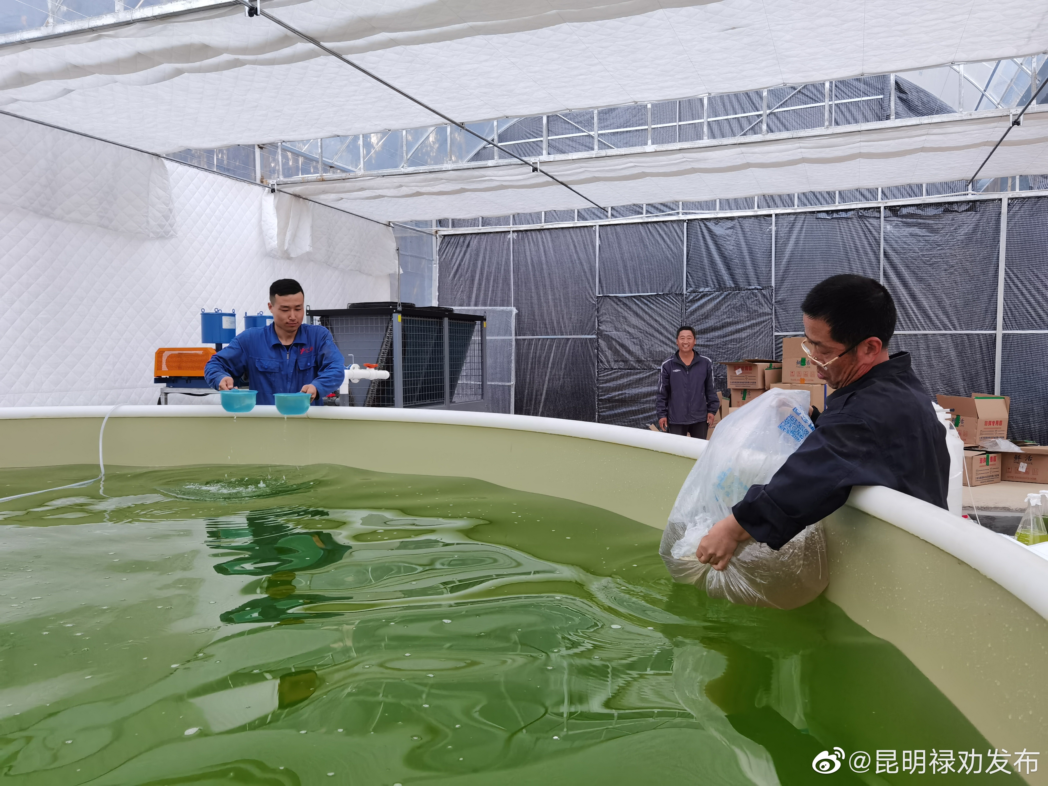 昆明禄劝发布