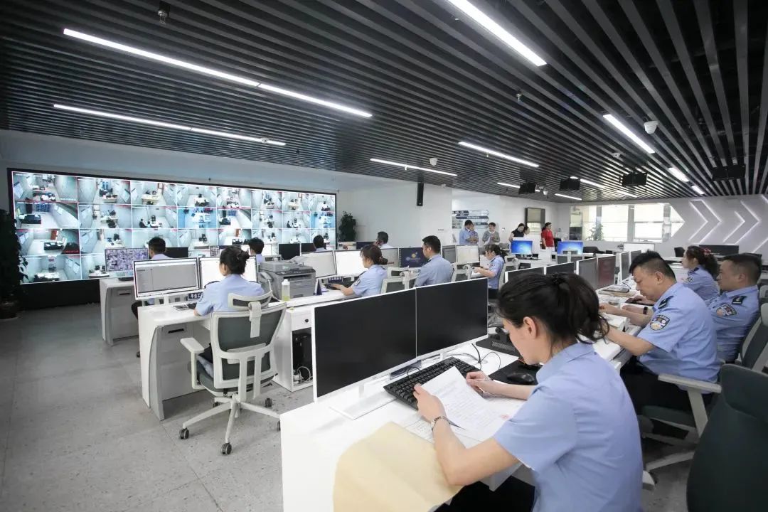云南政法