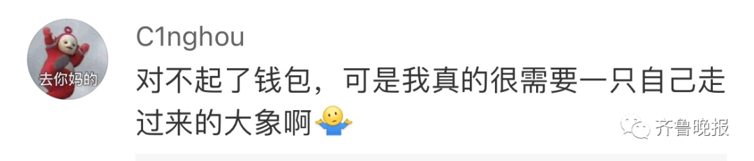 掌上春城微信公众号