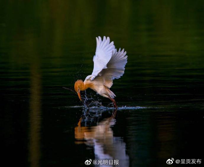呈贡发布