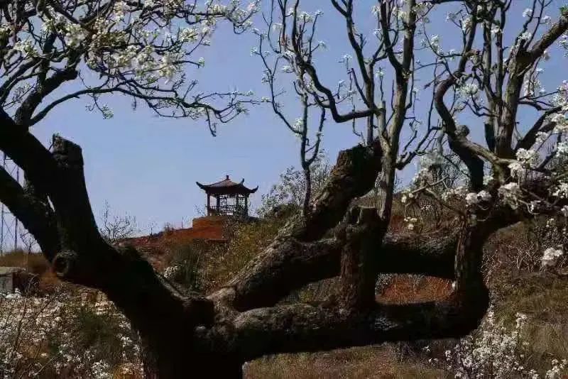 昆明生态环境
