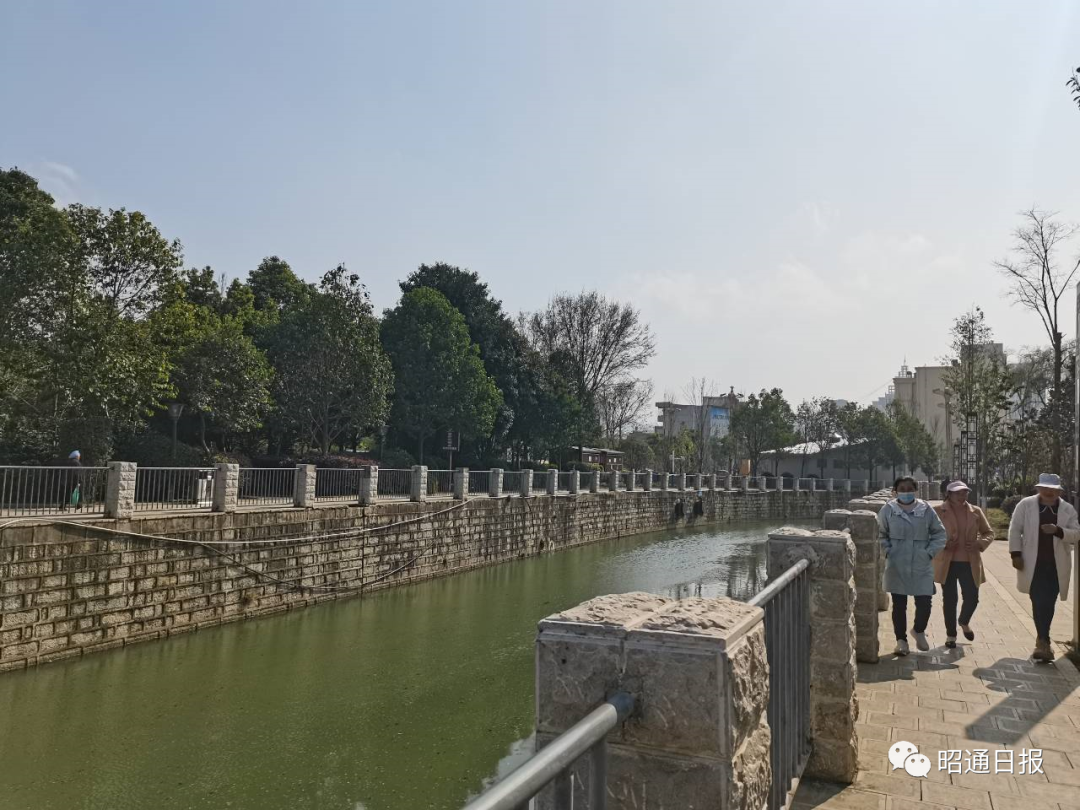 红色扎西