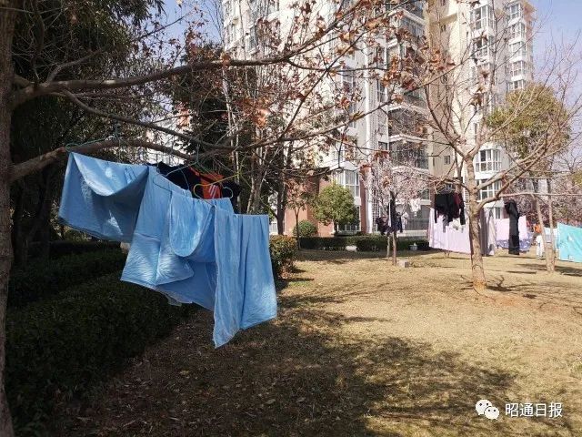 昭通日报