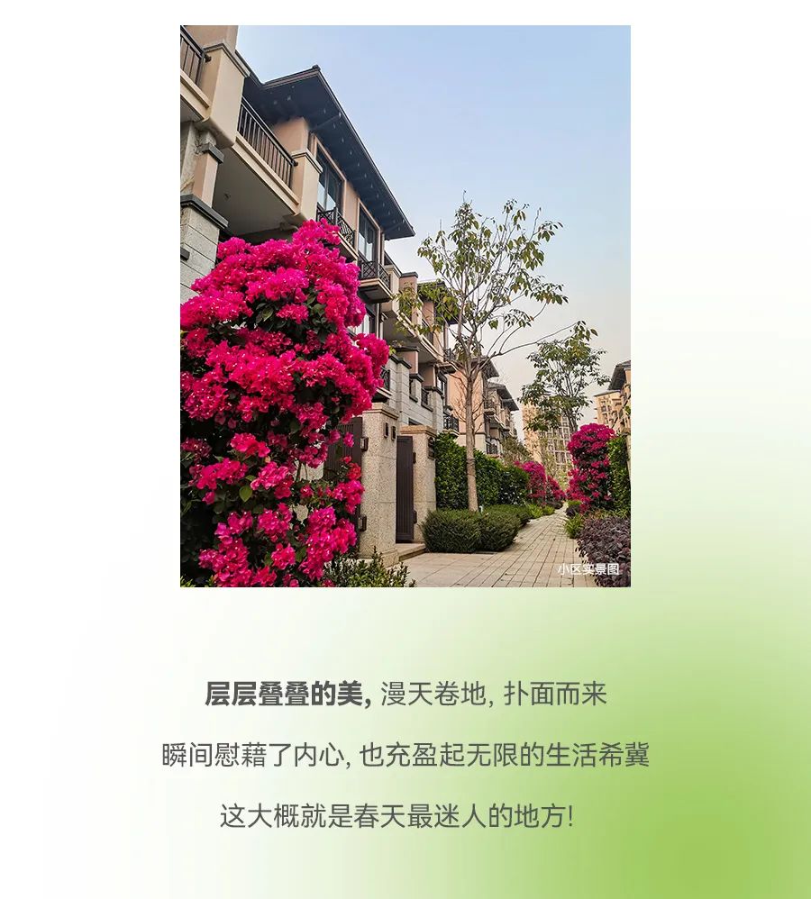 德宏团结报