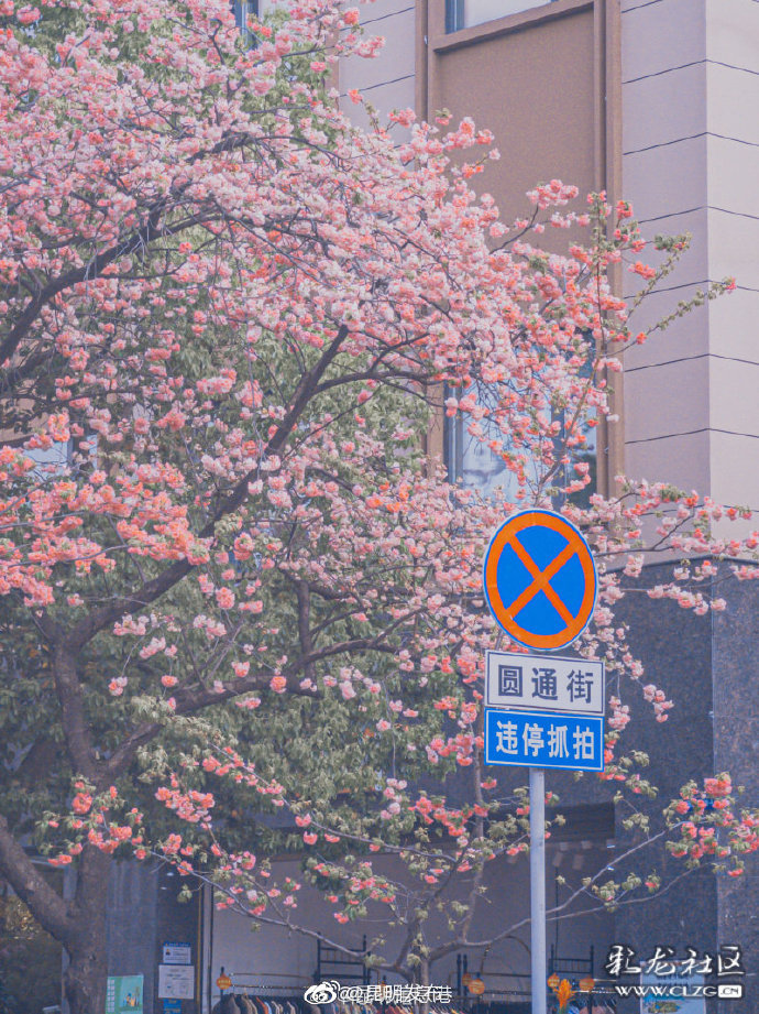 昆明发布