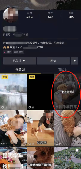 春城晚报