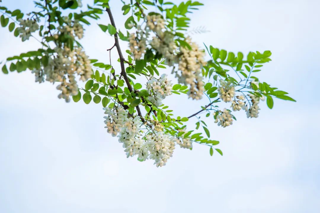 云南中医
