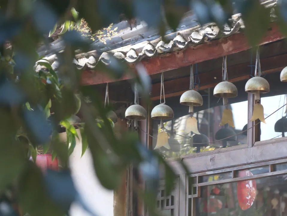 云南省文化和旅游厅