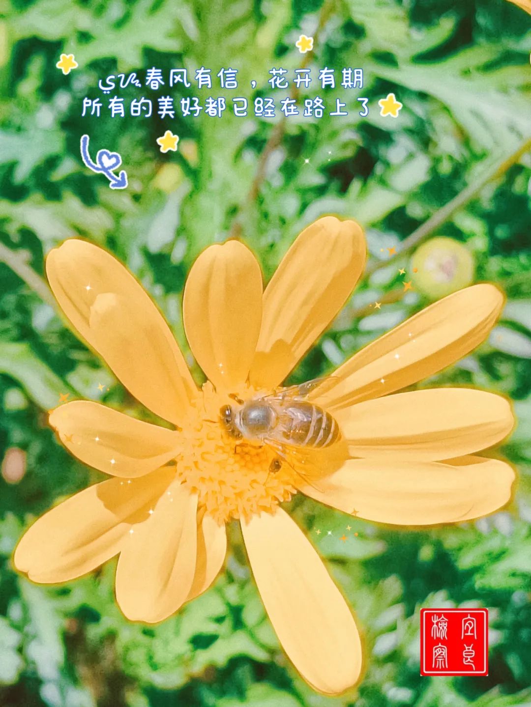 宜良检察(微信)