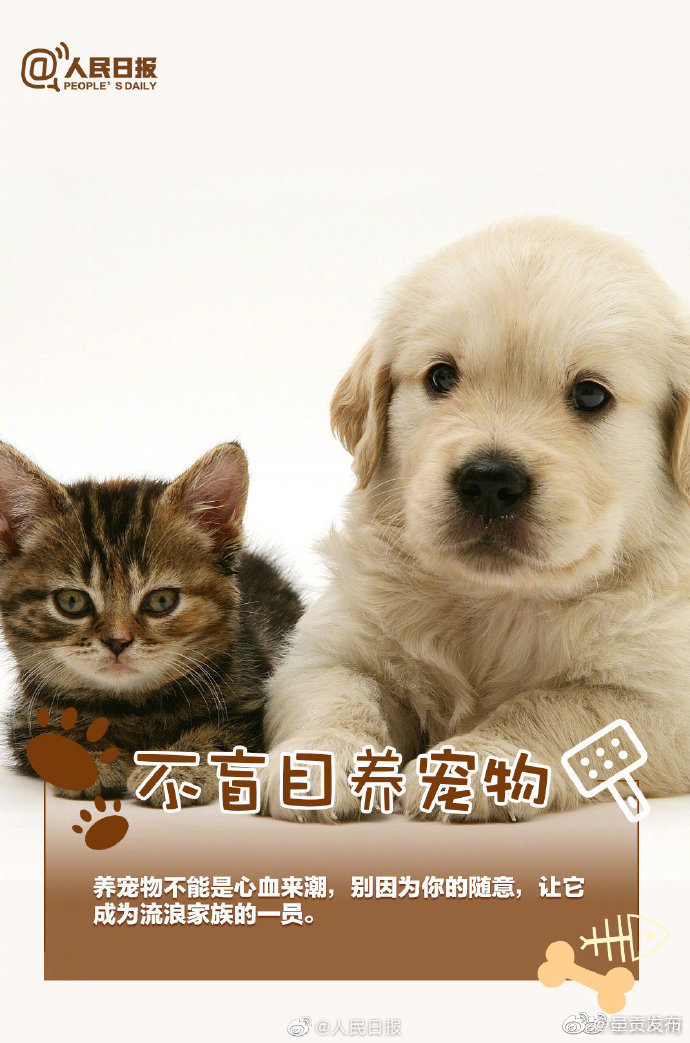 呈贡发布