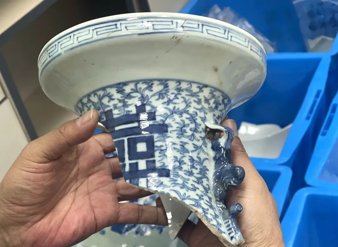美丽云南微科普