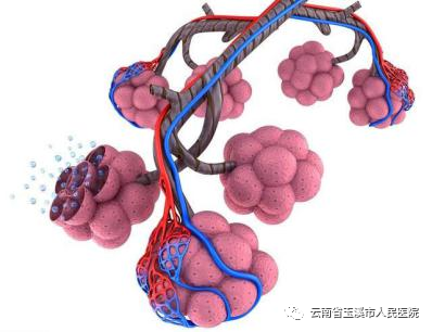云南省玉溪市人民医院