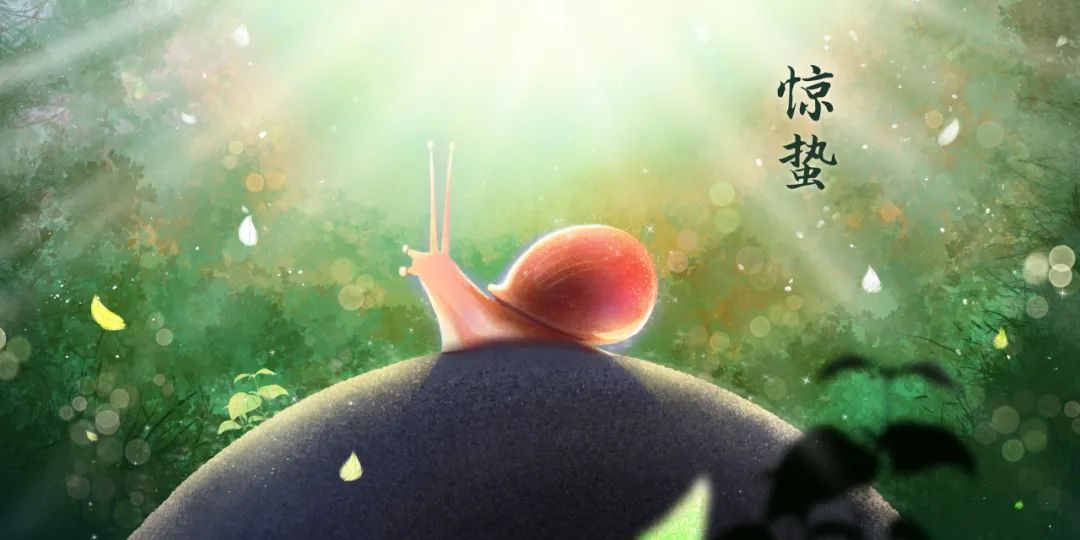 大理电视台