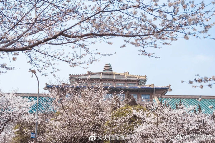 呈贡发布
