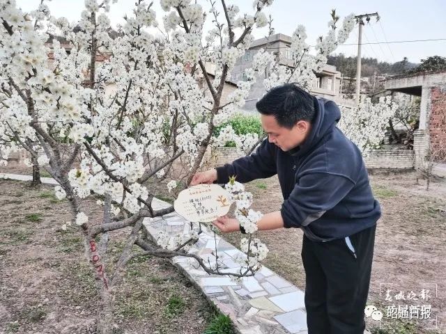 昭通日报