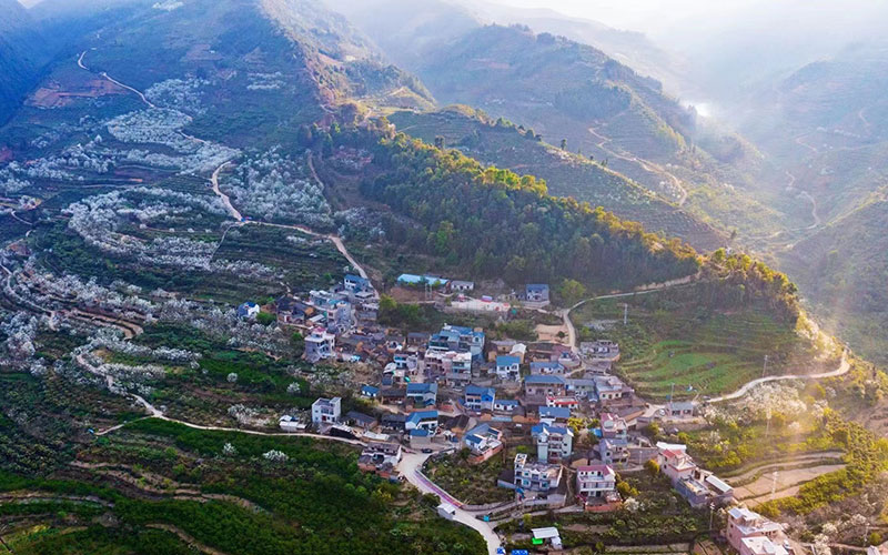 云南省文化和旅游厅