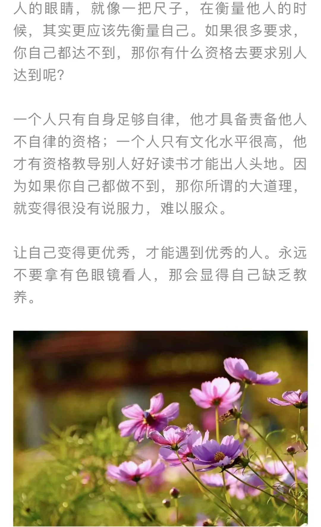 红色扎西
