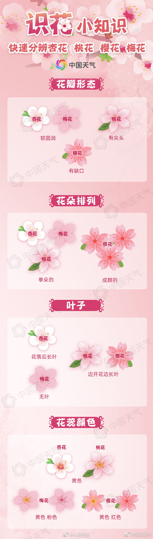 呈贡发布