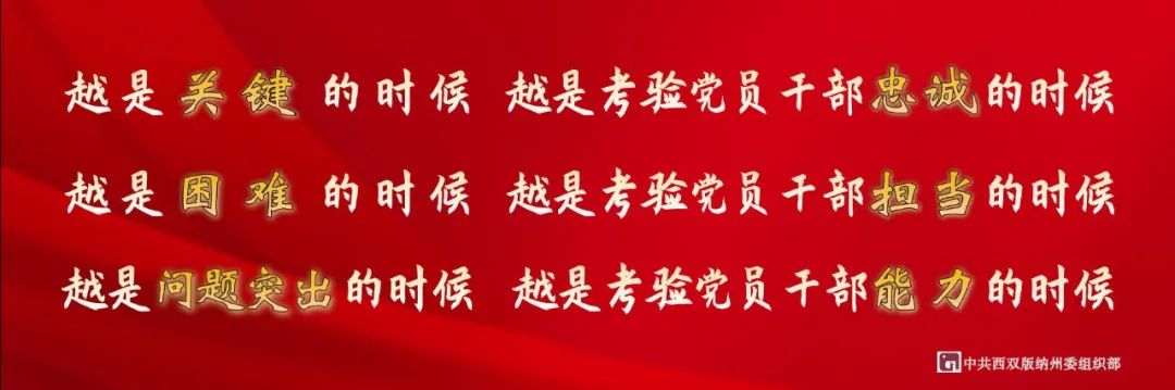 西双版纳先锋