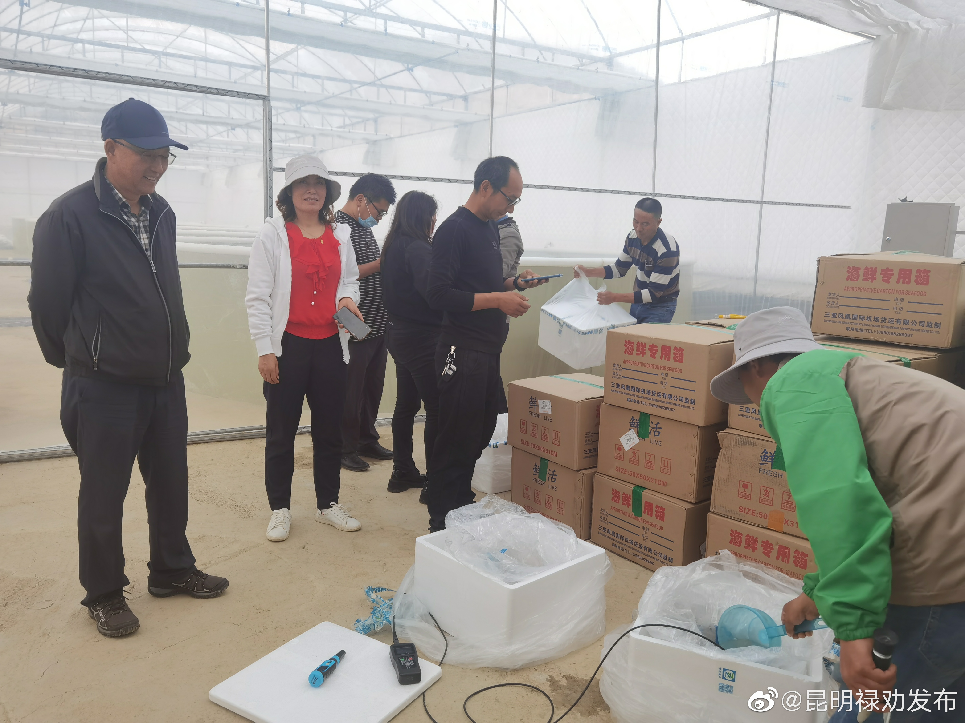 昆明禄劝发布
