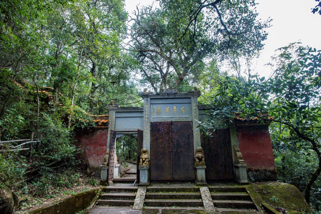 美丽云南微科普