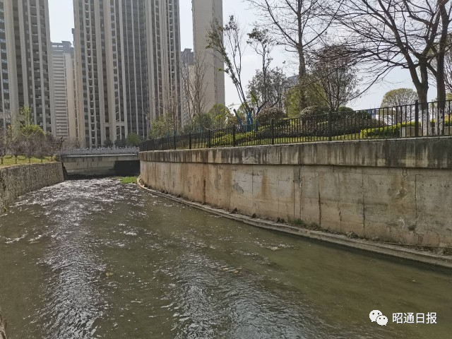 红色扎西