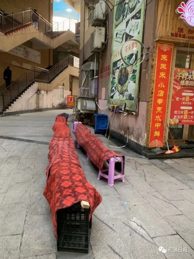 昭通日报