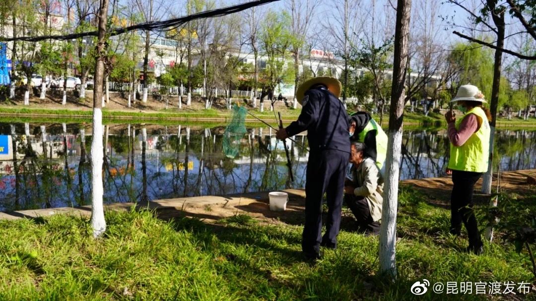 “昆明官渡发布”微博