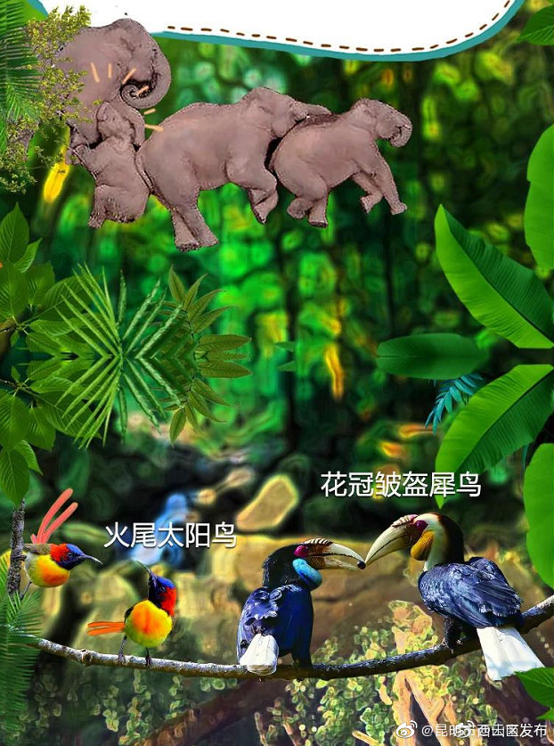 “昆明市西山区发布”微博