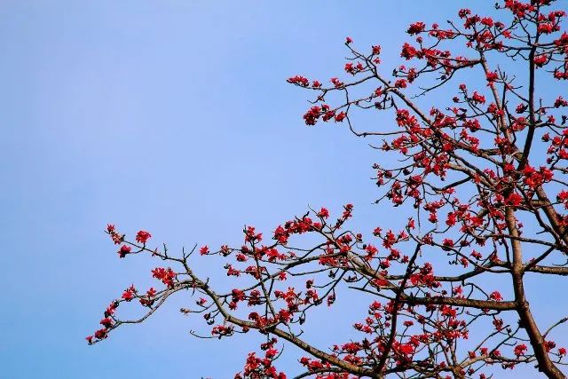 玉溪发布