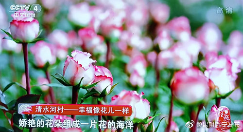 昆明晋宁发布