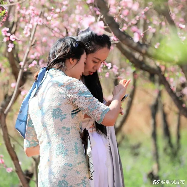 嵩明发布