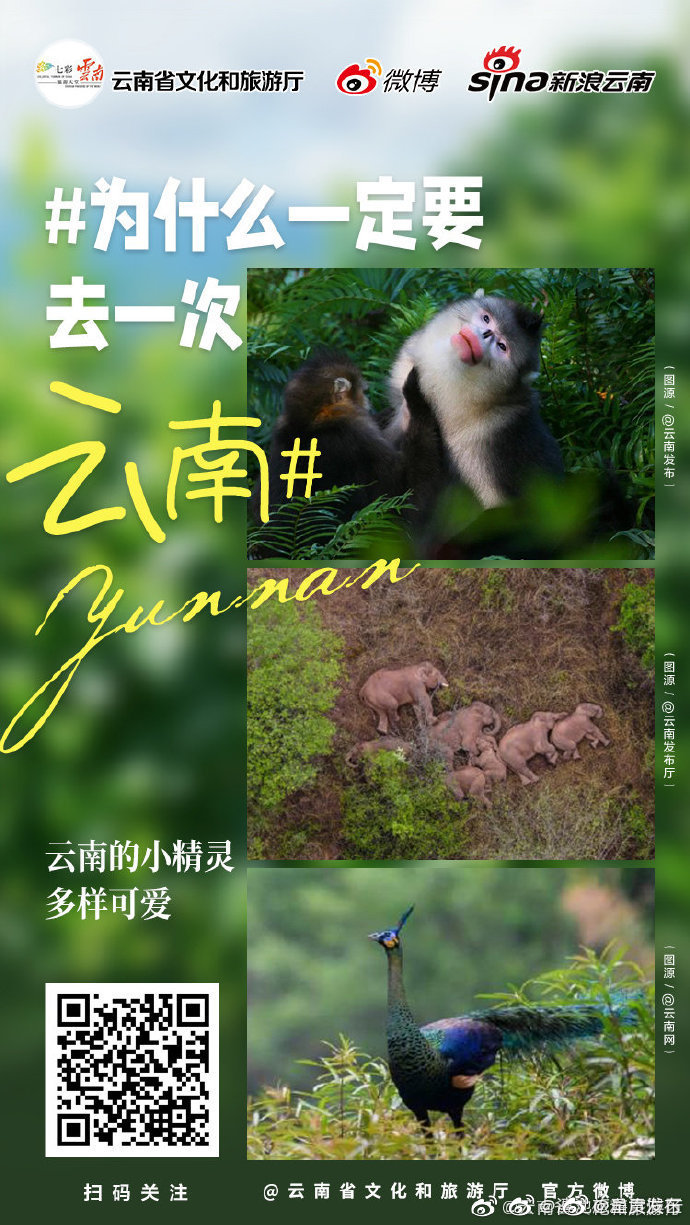 呈贡发布